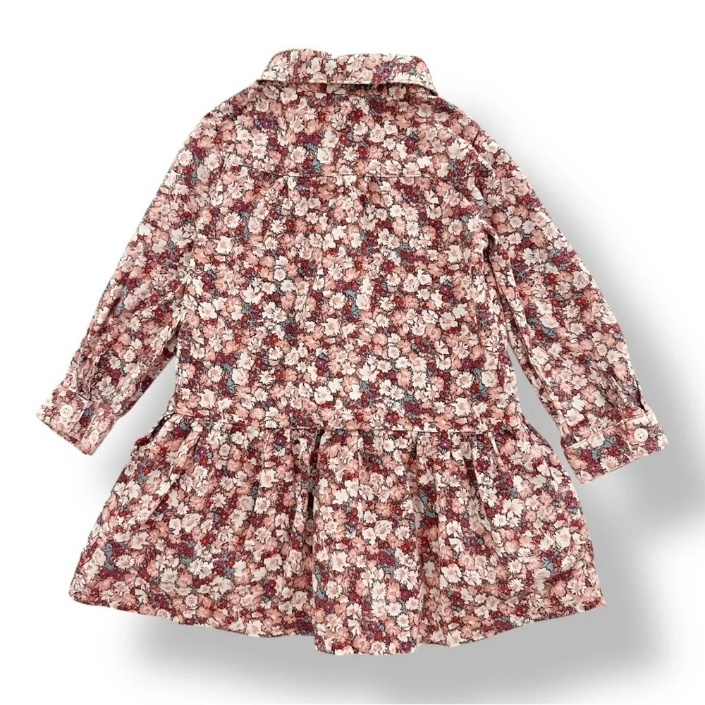 baby GAP | Floral Drop Waist Shirt Dress (18-24 mos)